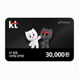 kt통합 모바일금액권 3만원