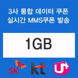 (skt kt lg)3사통합데이터쿠폰 1GB(충전쿠폰발송)